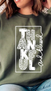 Thankful and Blessed Block T-Shirt
